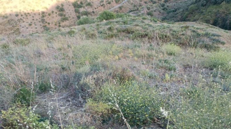 Málaga - Valdés - 26800m2