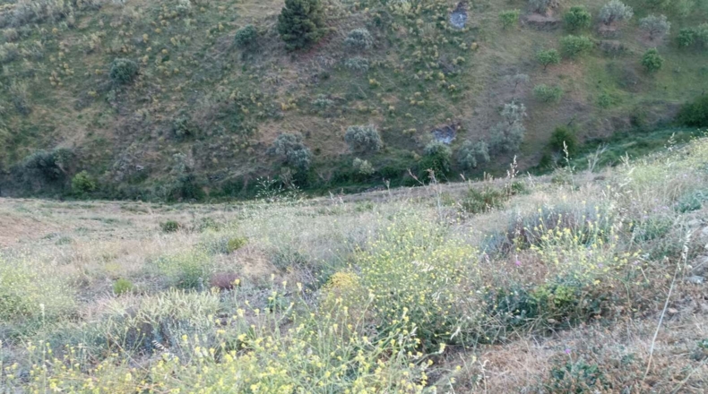 Málaga - Valdés - 26800m2