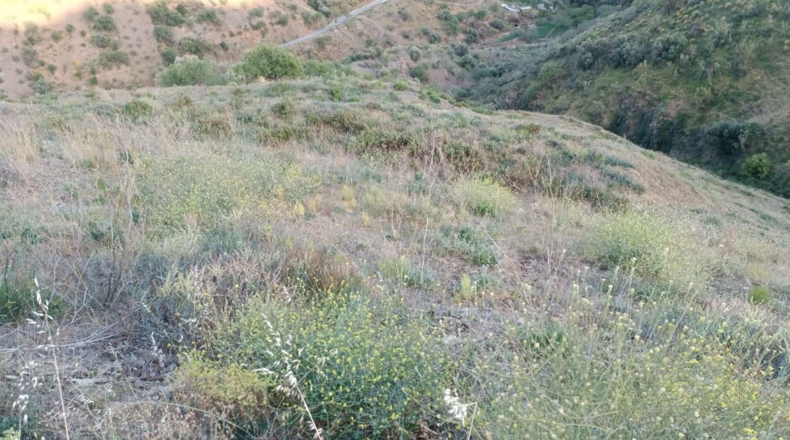 Málaga - Valdés - 26800m2