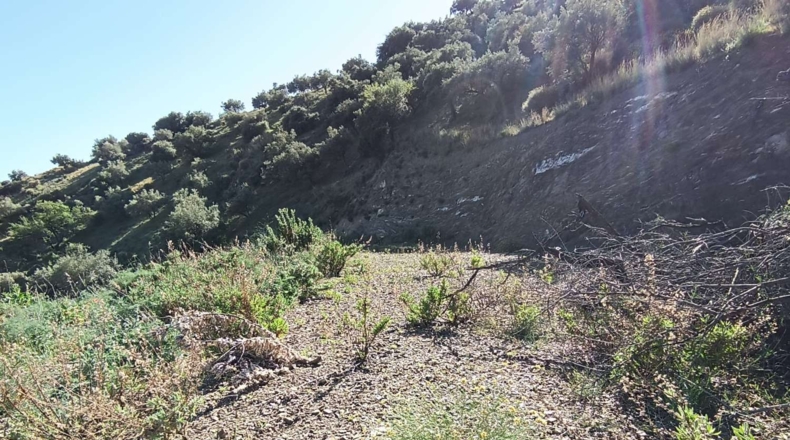 Málaga - Valdés - 4200m2