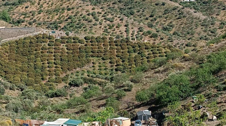 Málaga - Valdés - 4200m2