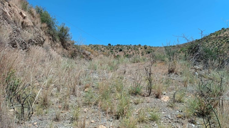 Málaga - Valdés - 6000m2