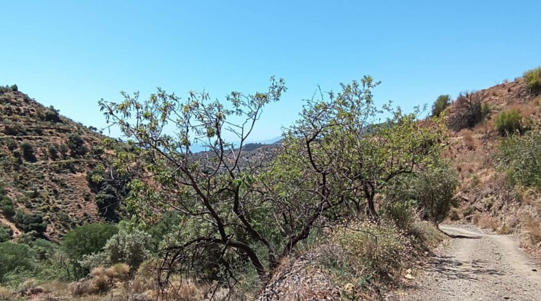Málaga - Valdés - 6000m2