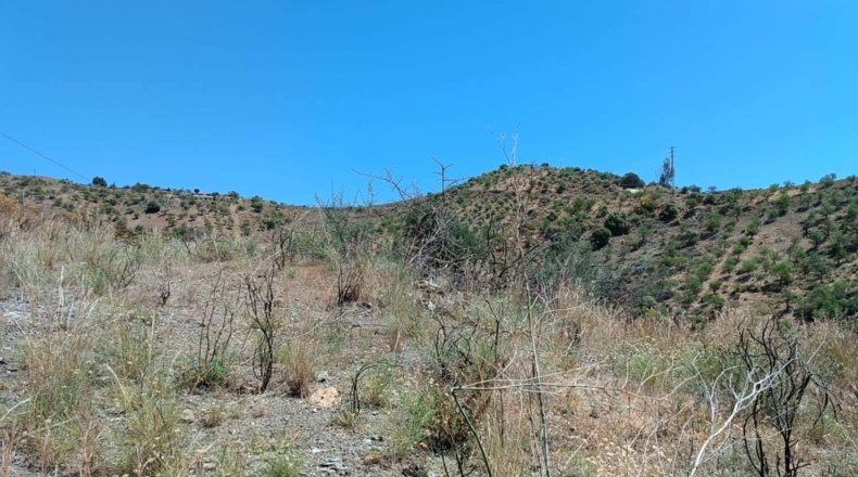 Málaga - Valdés - 6000m2