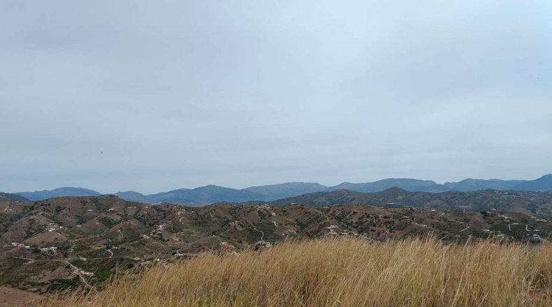 Málaga - Almáchar - 20000m2