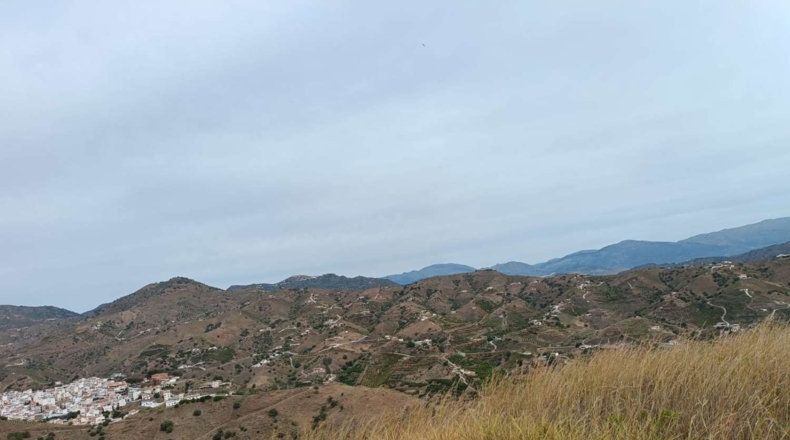 Málaga - Almáchar - 20000m2