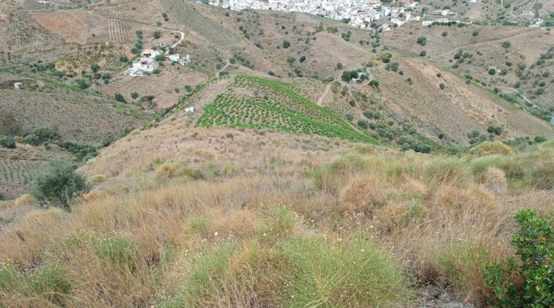 Málaga - Almáchar - 20000m2