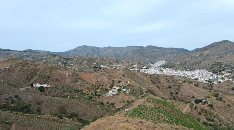 Málaga - Almáchar - 20000m2