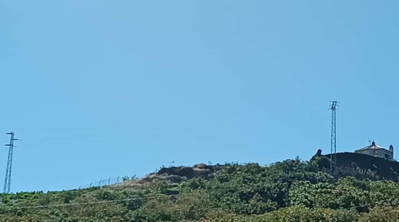 Málaga - Iznate - 14000m2