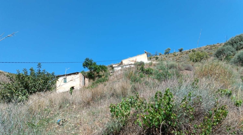 Málaga - El Borge - 14000m2
