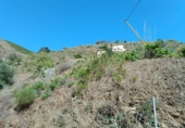 Земля на продажу у города El Borge. Фото