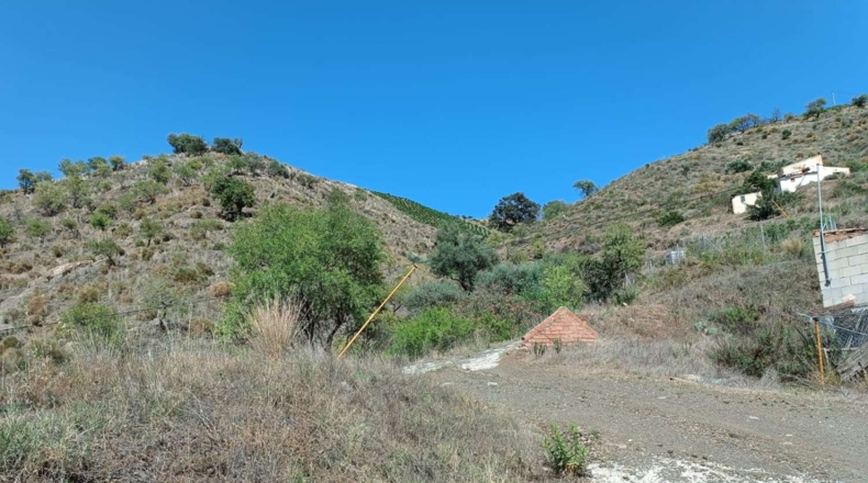 Málaga - El Borge - 14000m2