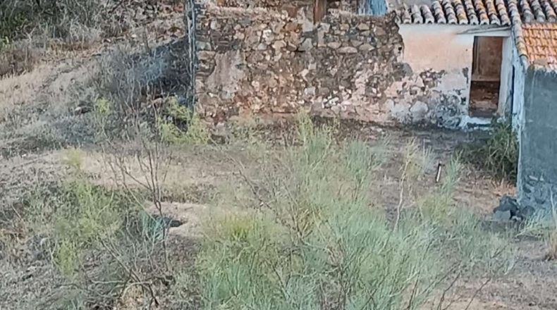 Málaga - Cártama - 40000m2