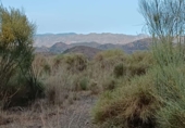 Non-developable land for sale in Cártama ref: TR91229 photo