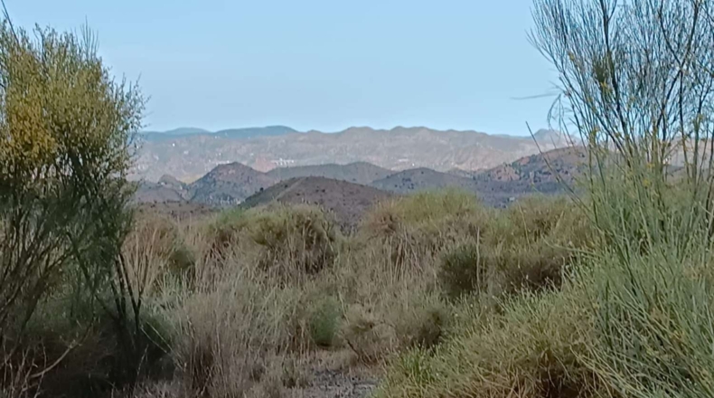 Málaga - Cártama - 40000m2