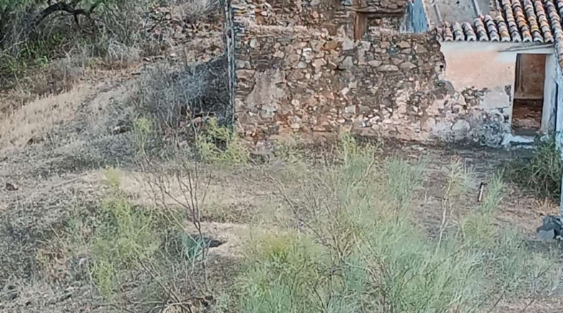 Málaga - Cártama - 40000m2