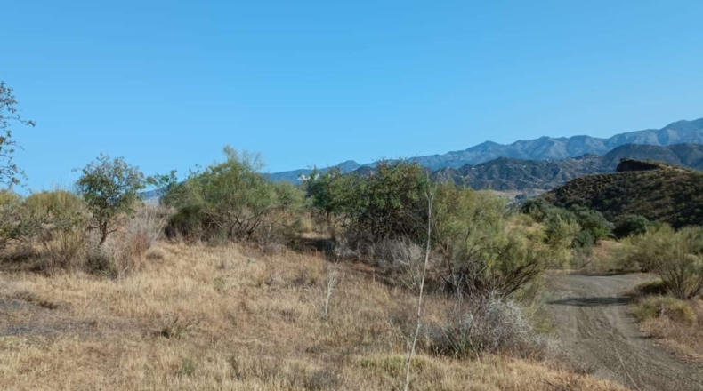 Málaga - Cártama - 40000m2