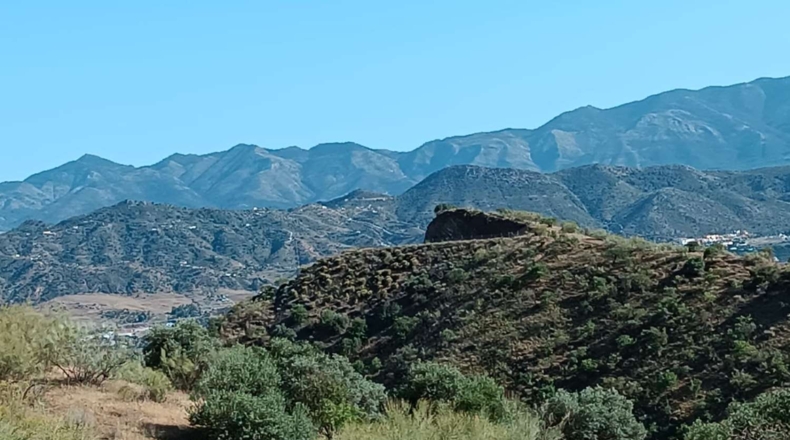 Málaga - Cártama - 40000m2