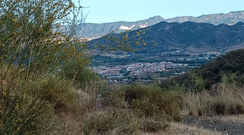 Málaga - Cártama - 40000m2