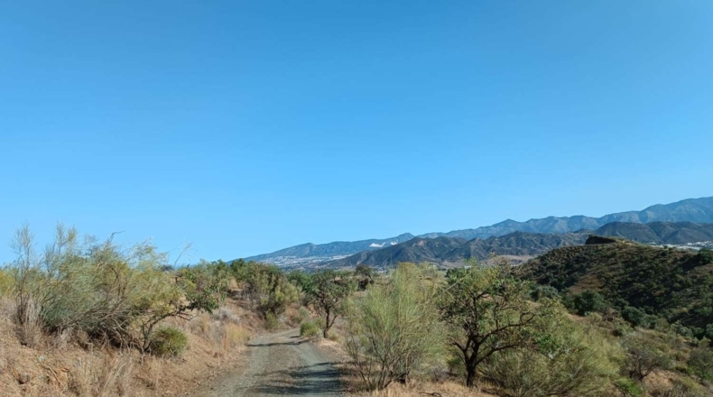 Málaga - Cártama - 40000m2