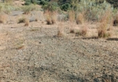 Non-developable land for sale in Cártama ref: TR91229 photo