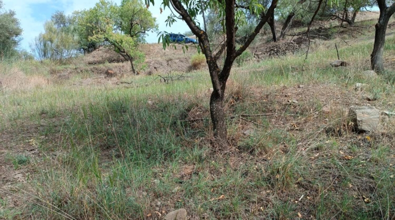 Málaga - Canillas de Aceituno - 3500m2