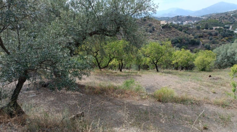 Málaga - Canillas de Aceituno - 3500m2