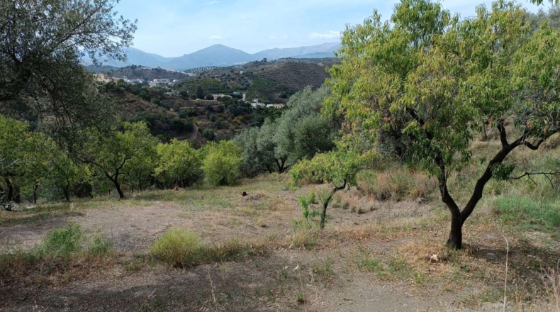 Málaga - Canillas de Aceituno - 3500m2