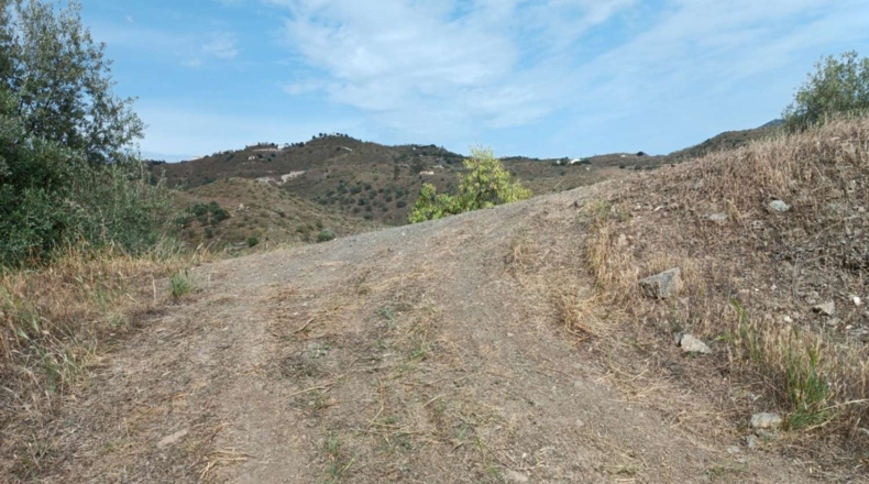 Málaga - Canillas de Aceituno - 3500m2