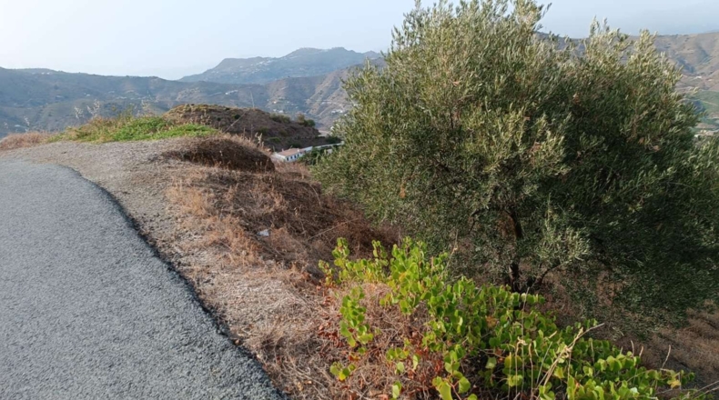 Málaga - Almáchar - 2900m2