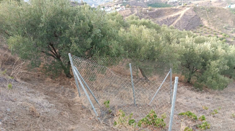 Málaga - Almáchar - 2900m2