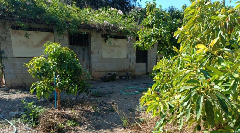 Málaga - Totalán - 3700m2