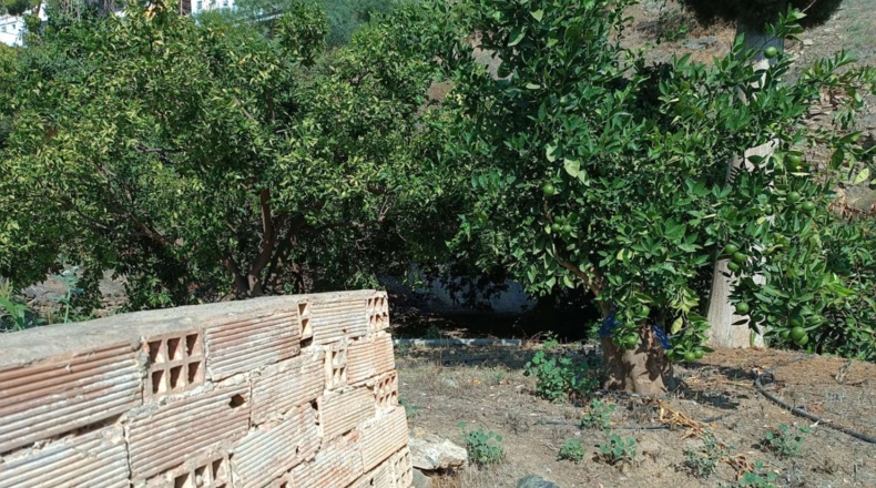 Málaga - Totalán - 3700m2
