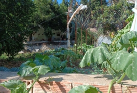 Foto 13