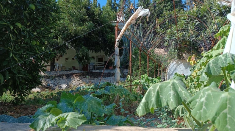 Málaga - Totalán - 3700m2