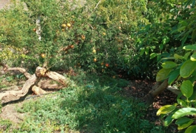 Foto 16