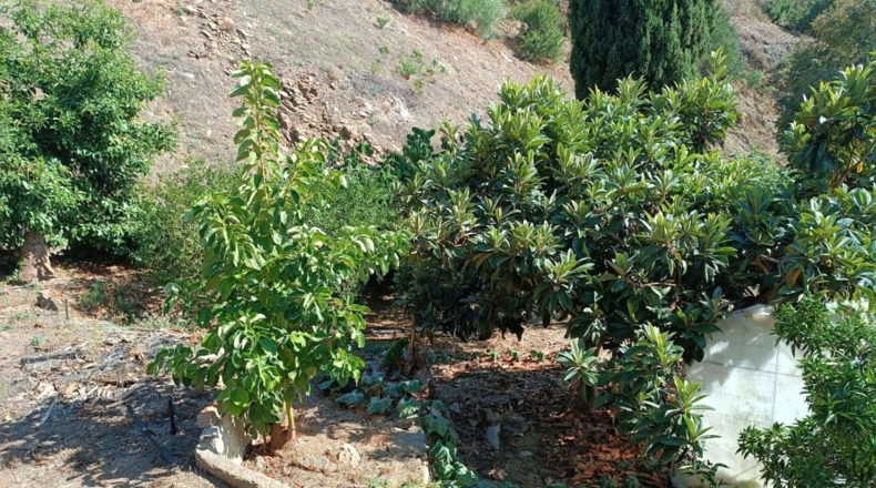 Málaga - Totalán - 3700m2