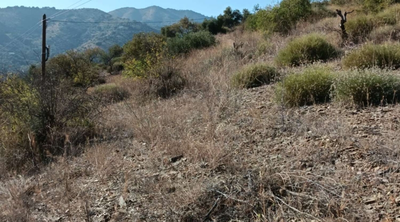 Málaga - Totalán - 15800m2