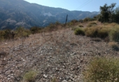 Terreno no urbanizable en venta en Totalán ref: TR91843 foto