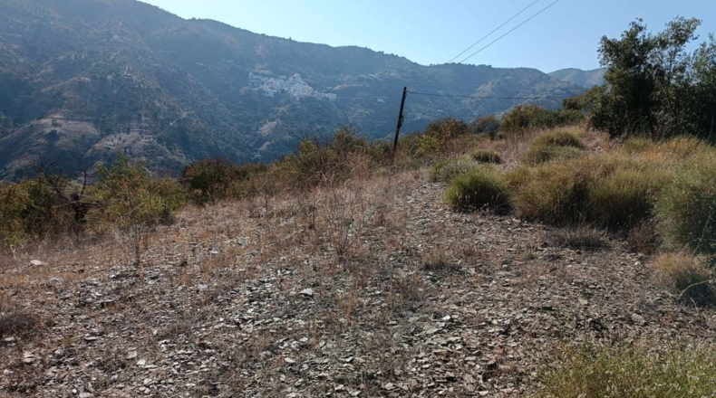 Málaga - Totalán - 15800m2