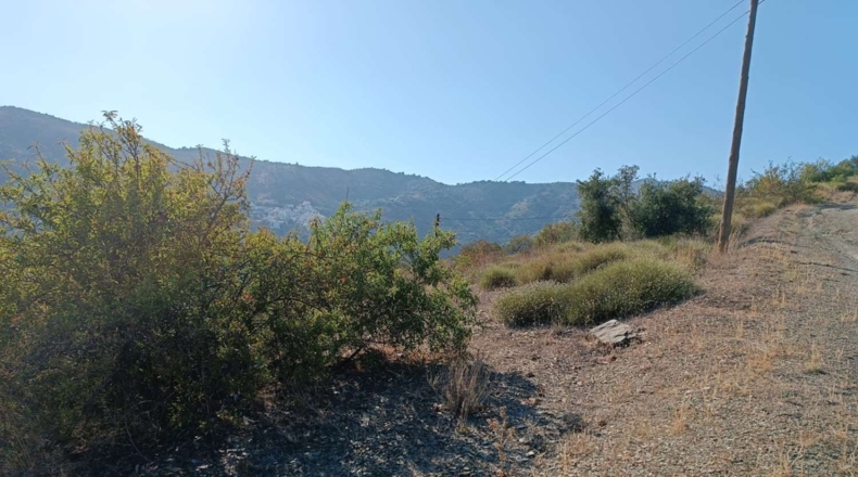 Málaga - Totalán - 15800m2