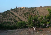 Finca rústica en venda a Benajarafe ref.: TR92752 foto