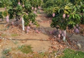 Finca rústica en venda a Benajarafe ref.: TR92752 foto