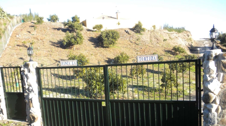 Málaga - Vélez-Málaga - 29000m2