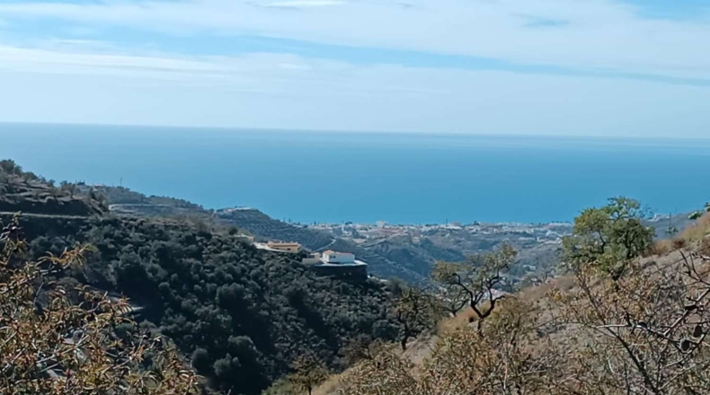 Málaga - Rincón de la Victoria - 20200m2