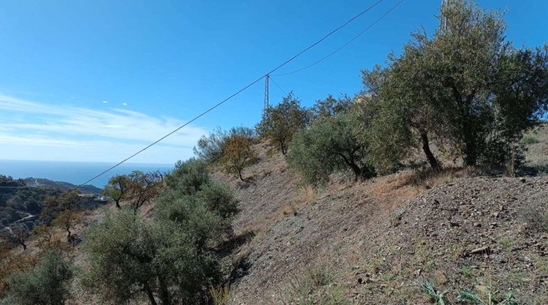 Málaga - Rincón de la Victoria - 20200m2
