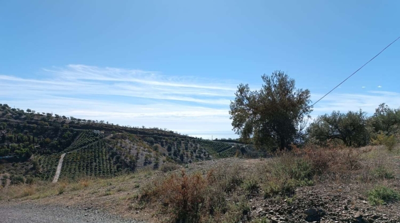Málaga - Rincón de la Victoria - 20200m2