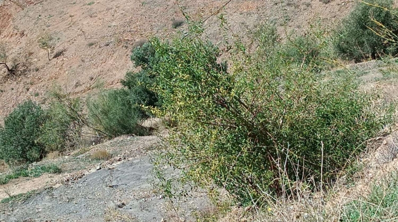 Málaga - Valdés - 5890m2