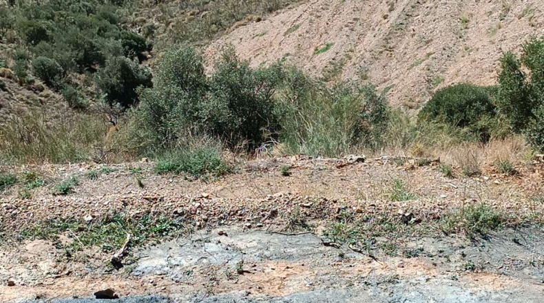 Málaga - Valdés - 5890m2