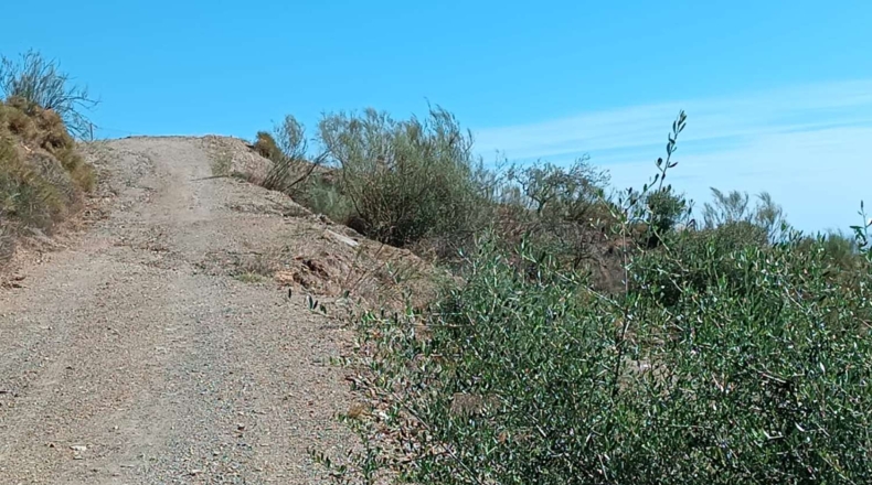 Málaga - Valdés - 5890m2